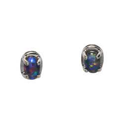 Australian Triplet Opal 14 kt White Gold Ear Rings